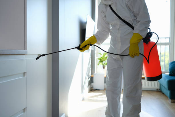 Baraga, MI Mold Removal Company