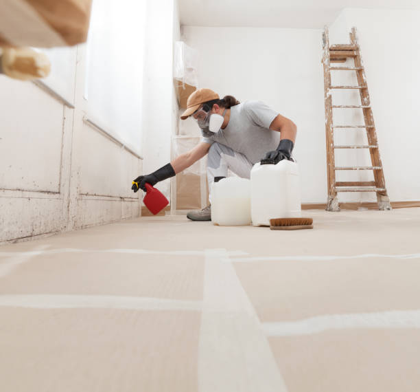 Best Basement Mold Removal  in Baraga, MI